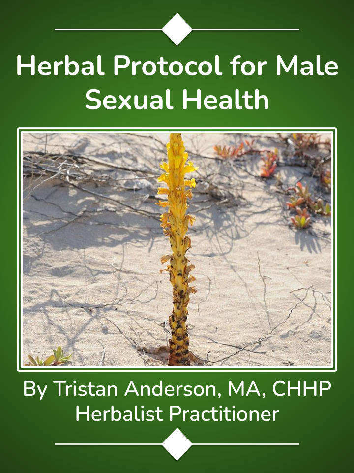 Herbal Protocol for Male Sexual Health