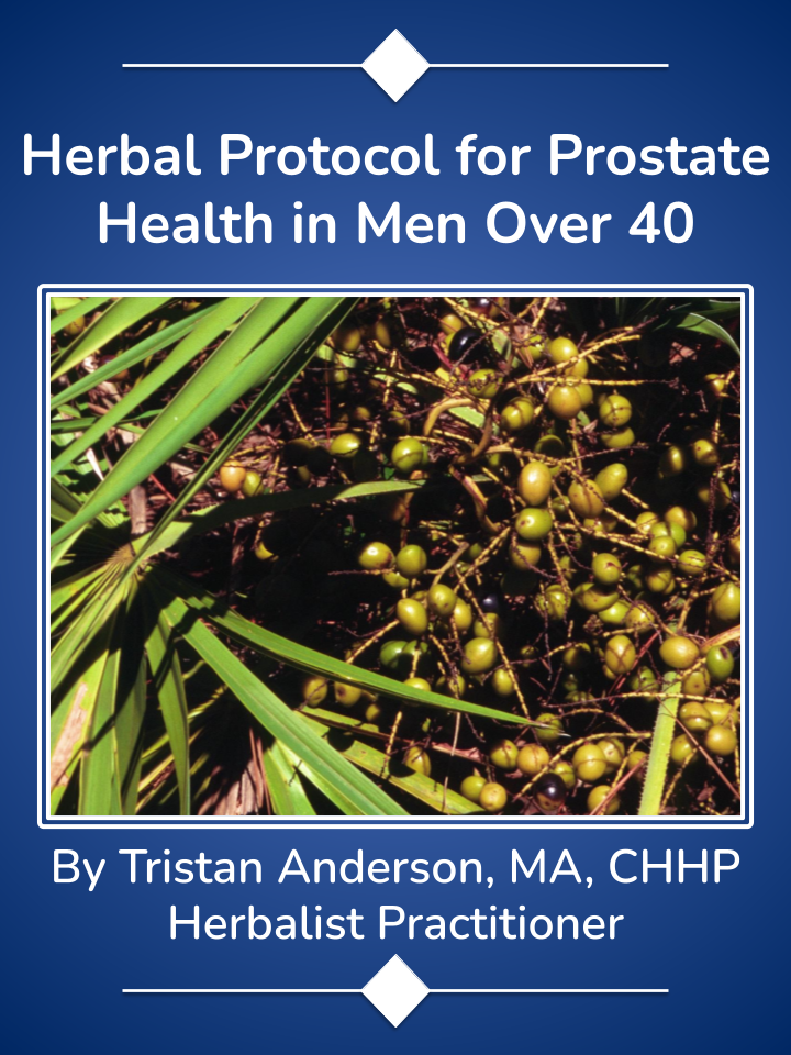 Herbal Protocol for Prostate Support in Men Over 40