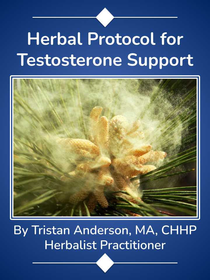 Herbal Protocol for Testosterone Support in Men Over 40