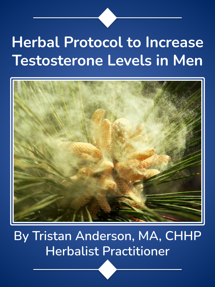 Herbal Protocol to Increase Testosterone Levels in Men