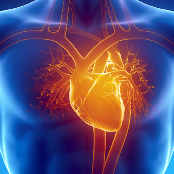 An illustration of a heart and arteries on a blue background

