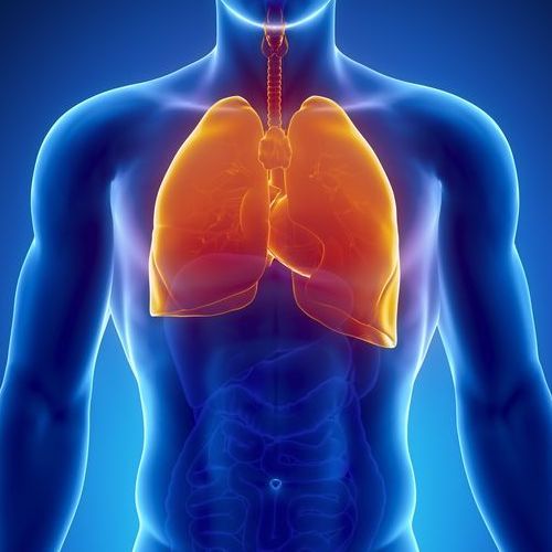 Anatomical illustration of lungs with a blue body background

