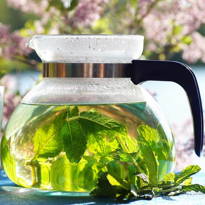 Clear teapot with black handle filled with green mint leaves against a blurred natural background